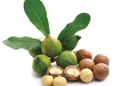 Banoli Macadamia Prroject